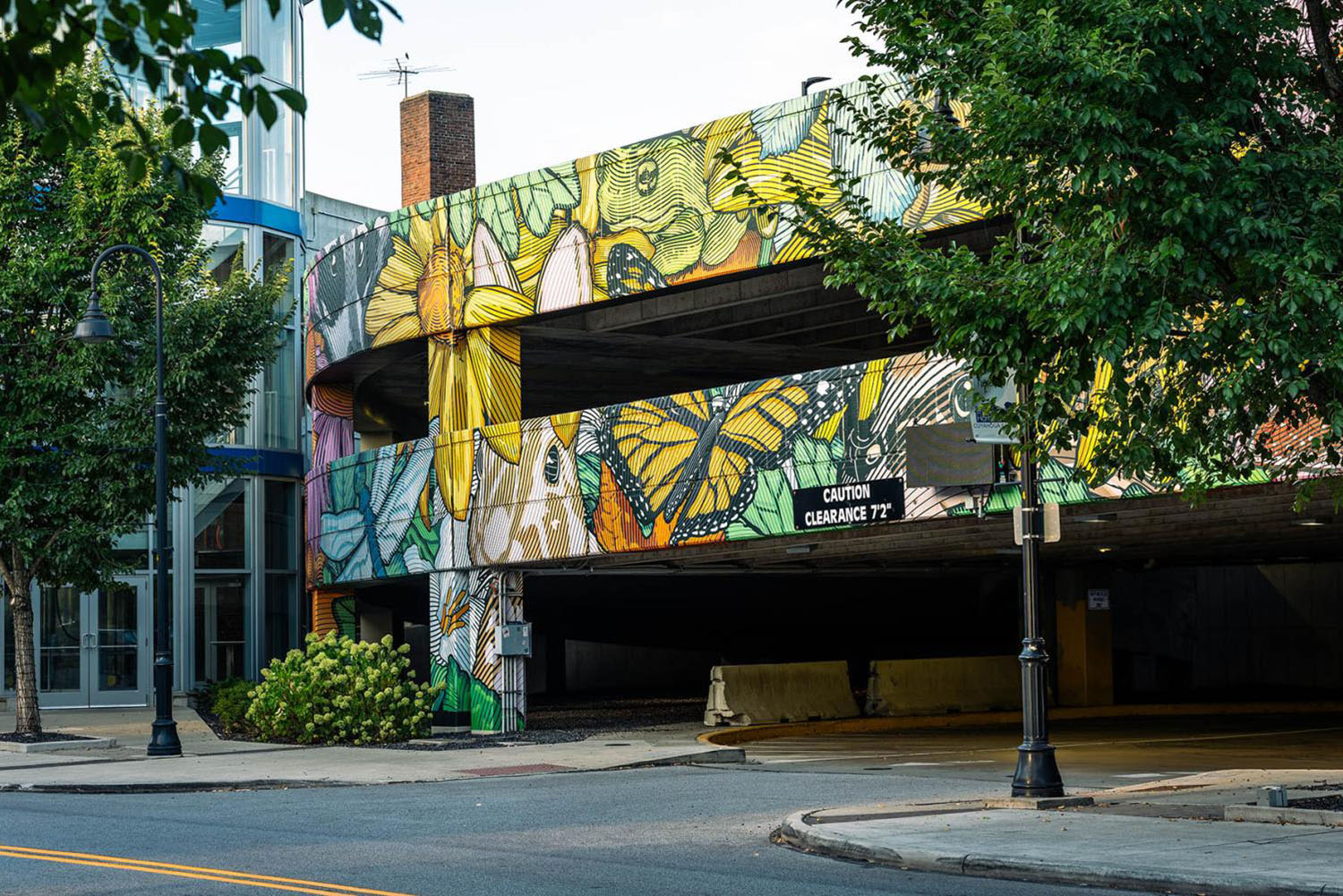 Green Deck Mural